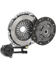 Luk 621 3041 33 Spingidisco a Frizione Luk 621 3041 33 Spingidisco a Frizione