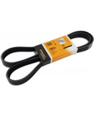 CONTITECH 7PK1580 Cinghie Trapeiz CONTITECH 7PK1580 Cinghie Trapeiz