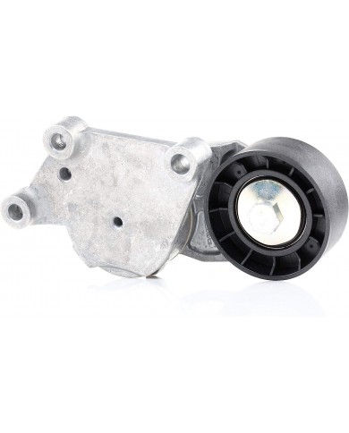 DAYCO APV1076 Tenditore Automatico DAYCO APV1076 Tenditore Automatico