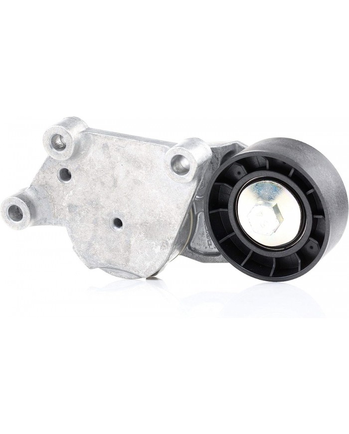 DAYCO APV1076 Tenditore Automatico