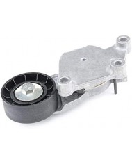 DAYCO APV1076 Tenditore Automatico DAYCO APV1076 Tenditore Automatico