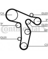CONTITECH CT1139K2 Kit cinghie dentate