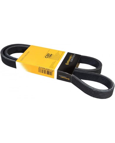 CONTITECH 6DPK1195 Cinghia Poly-V CONTITECH 6DPK1195 Cinghia Poly-V