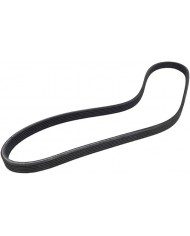 CONTITECH 6DPK1195 Cinghia Poly-V CONTITECH 6DPK1195 Cinghia Poly-V