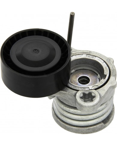 INA 534 0331 10 - Braccio Tenditore, Cinghia Poly-V INA 534 0331 10 - Braccio Tenditore, Cinghia Poly-V