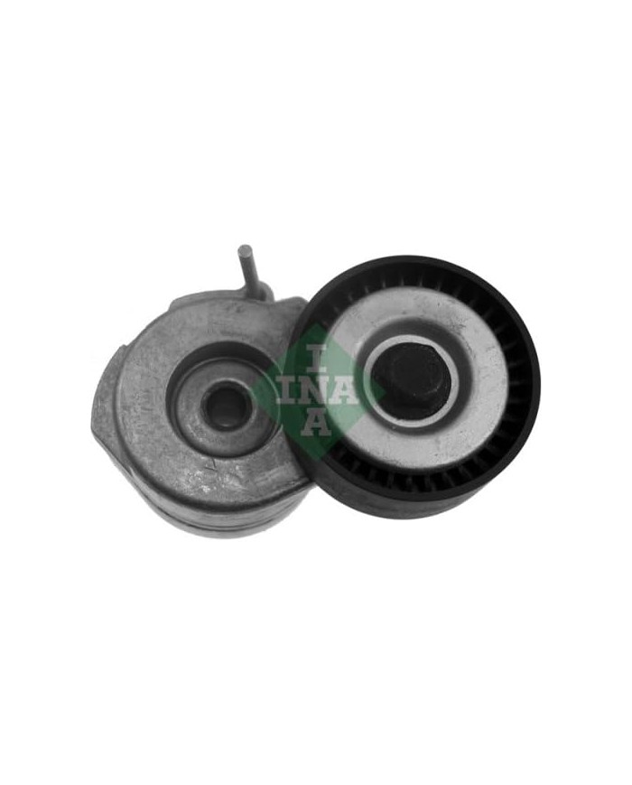 INA 534 0053 10 - Braccio Tenditore, Cinghia Poly-V INA 534 0053 10 - Braccio Tenditore, Cinghia Poly-V