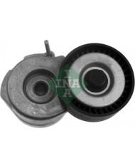 INA 534 0053 10 - Braccio Tenditore, Cinghia Poly-V INA 534 0053 10 - Braccio Tenditore, Cinghia Poly-V