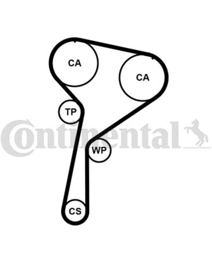 CONTITECH CT1184K1 Cinghie di distribuzione per veicoli