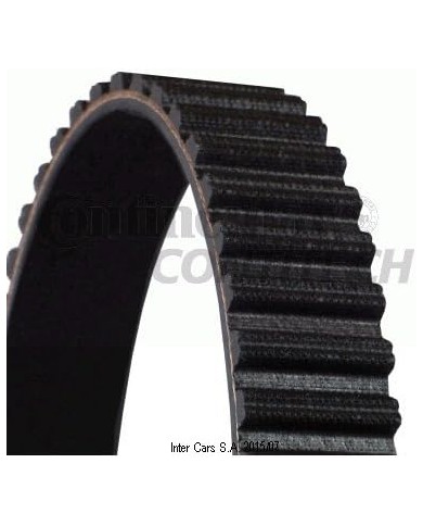 Contitech CT 1148 Cinghie Distribuzione Contitech CT 1148 Cinghie Distribuzione