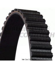 Contitech CT 1148 Cinghie Distribuzione Contitech CT 1148 Cinghie Distribuzione