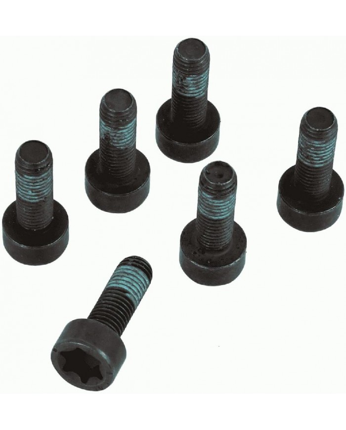 Sachs Volano a due masse 6366 000 055 Sachs Volano a due masse 6366 000 055